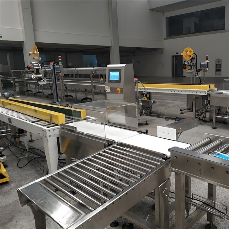 Weight Sorter Machine	